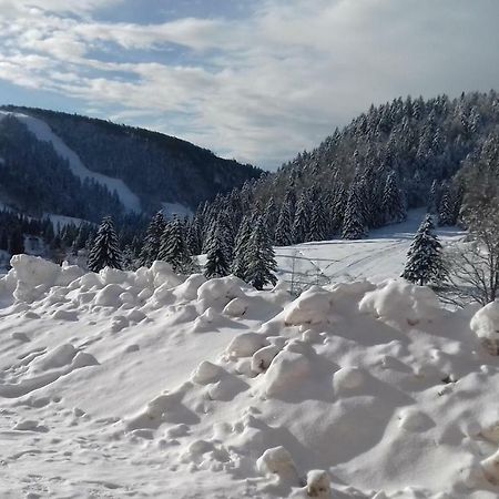 Les feignes cerfdoré La Bresse Exterior foto