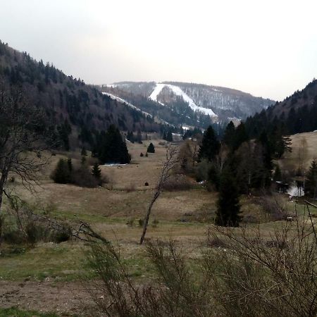 Les feignes cerfdoré La Bresse Exterior foto