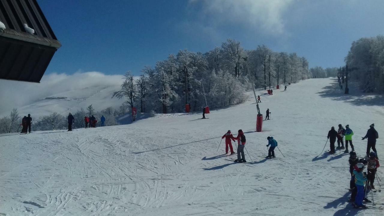 Les feignes cerfdoré La Bresse Exterior foto
