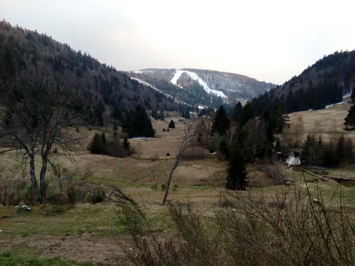 Les feignes cerfdoré La Bresse Exterior foto